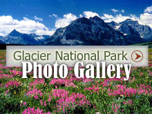 View Glacier National Park Photo Gallery